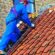 Roof Ladder Hire
