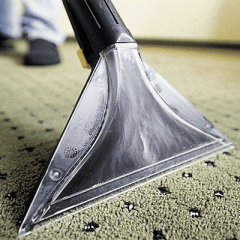 carpet-cleaner-hire-485